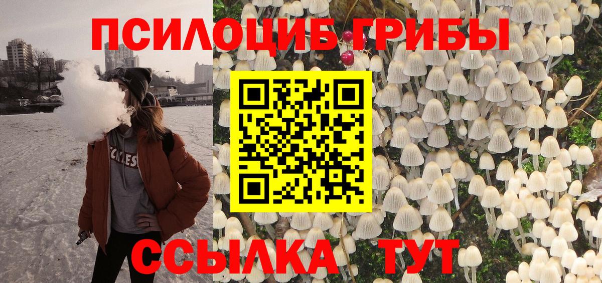 Галлюциногенные грибы Psilocybe Усть-Джегута