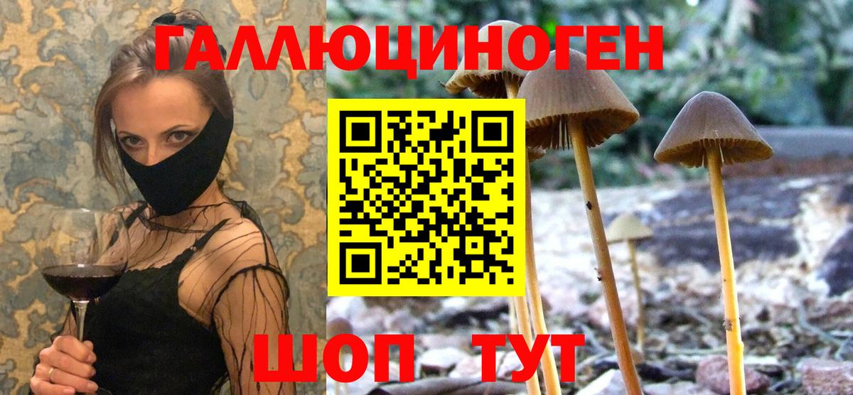 Галлюциногенные грибы ЛСД  Вход с VPN  Галлюциногенные грибы Magic Shrooms  где найти   Усть-Джегута 